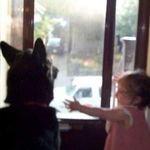 Pat McLean - @blackdogpat - Instagram