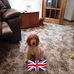 Pat McLean - Facebook