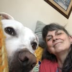 Pat McNab Greenway - @trishgreenway - Instagram