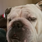 Pat McNally - @pat.mcnally.982 - Instagram