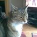 Pat Mcnally - Facebook