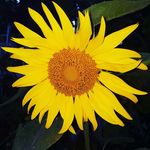 pat mcnerney - @pat_mcnerney - Instagram