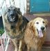 Pat Mcnew - Facebook