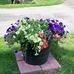 Pat McNew - Facebook