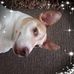 Pat Mcquade - Facebook