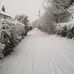 Pat Mcquade - Facebook