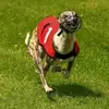 Patrick Mcquade - @patrick.mcquade - TikTok