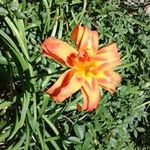 Pat McVay - @mcvaypat - Instagram