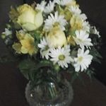 Pat Mcvay - @pat.mcvay.756 - Instagram