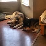 Meeks_PAT - @meeks_pat - Instagram