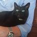 Pat Merrick - Facebook