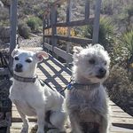 Patrick Merrick - @patmerrick - Instagram