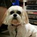 Pat Merrill - Facebook