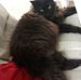 Patsy Messer - Facebook