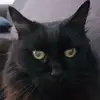 Patrick - @patmessina - TikTok