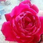 Nandkishor Patmore - @patmorekishor - Instagram