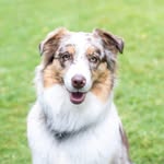 Pat Morey - @patmorey6 - Instagram