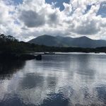 Patrick Morrill - @patrick.morrill - Instagram