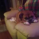 Pat Morrissey - @morrissey3223 - Instagram