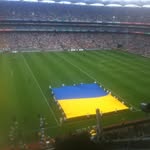 Pat Morrissey - @patrick.morrissey.9461 - Instagram