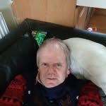 Pat Morrissey - @morrissey5441 - Instagram