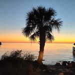 Pat Moser - @pat.moser.68 - Instagram