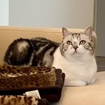 Pat Moser - @patmoser - Instagram
