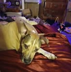 Patricia Lynn Mosier Rickels - Facebook