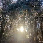 Pat Mosley - @rehab1228 - Instagram