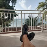 Pat Moss - @pat_wants_coffee - Instagram
