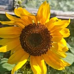 Pat Moss - @pat.moss - Instagram