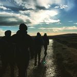 Patrick_Mostyn - @patrickmostyn6 - Instagram