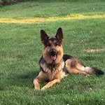 Pat Mott - @patti_bassett - Instagram