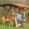 Pat Crouse Mountain woman - @pat.crouse.mounta - TikTok
