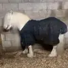 Pat mullane - @pat.mullane3 - TikTok