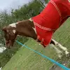 patrickmullane21 - @patrickmullane21 - TikTok