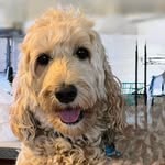 Pat Mullaney Filson - @patfilson - Instagram