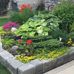 Pat Munce  - Facebook