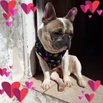 Patricia Muñiz - Facebook