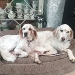 Pat Munn - @patmunn8 - Instagram