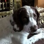 Pat Munro - @munro6743 - Instagram