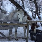 Pat Munro - @pmunro49 - Instagram