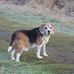 Pat Munro - Facebook