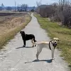 patriciamunson0906 - @patriciamunson0906 - TikTok