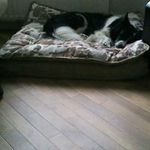 Pat Murrell - @patmikemurrell - Instagram