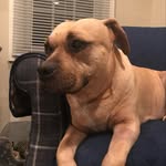 Pat Murtha Hains - @pat.murthahains - Instagram