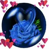 patriciamussomele - @patriciamussomele - TikTok