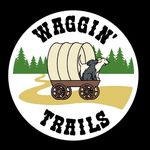 Pat Nally - @waggintrailsdoghiking - Instagram