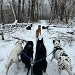 Pat Nally - @31pat31 - Instagram