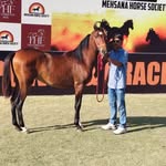 🚩पटनावा फार्म हाउस सिलदर 🚩 - @_patnava_stud_farm_ - Instagram